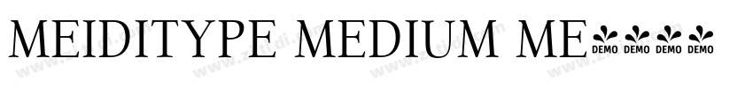 MEIDITYPE MEDIUM ME字体转换